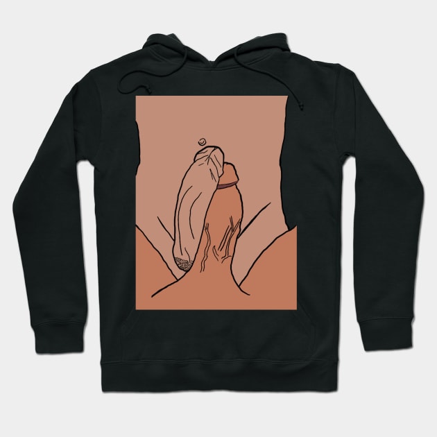 Hoodies dicks deals